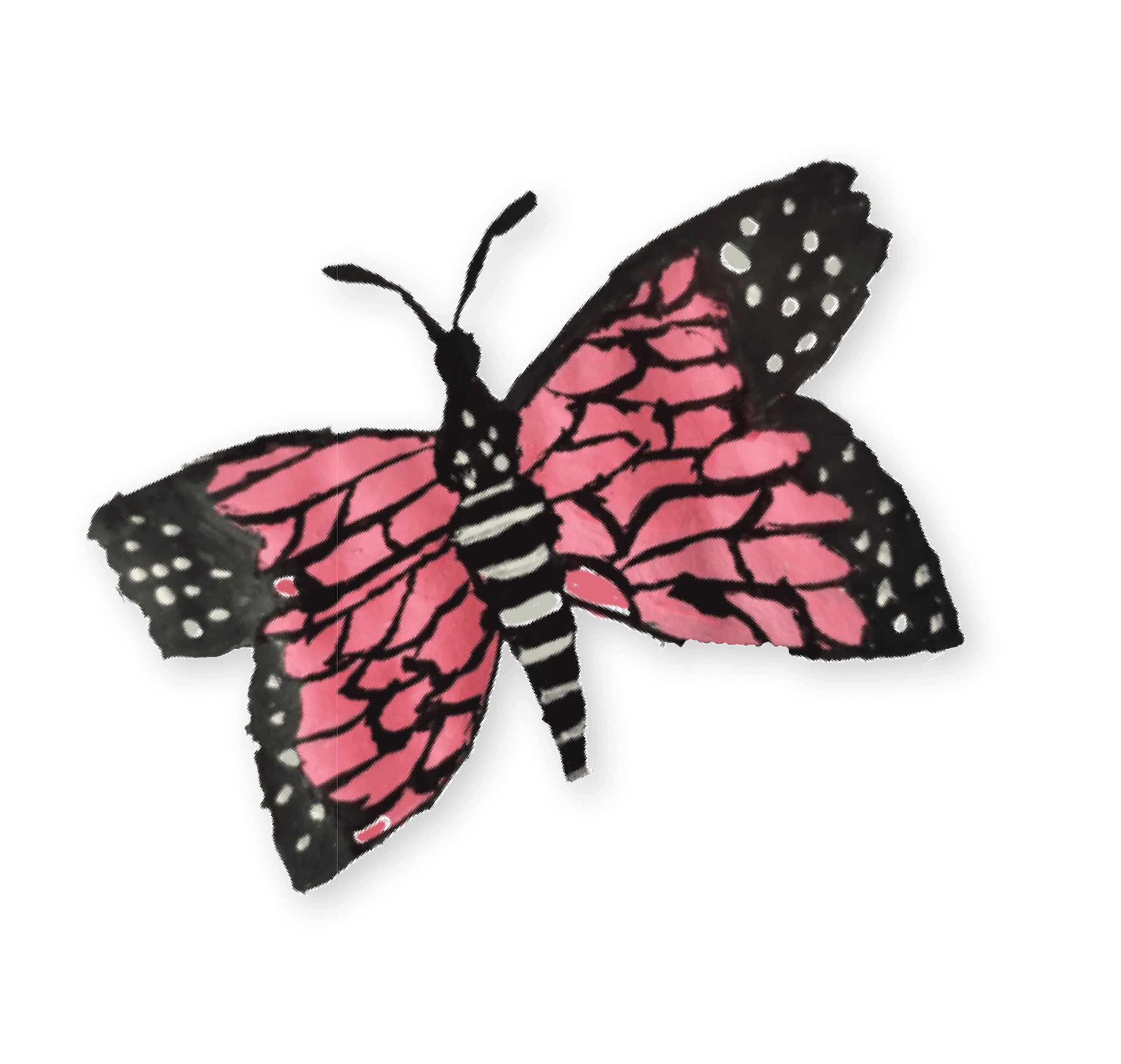 Tomorrowland Foundation Butterfly pink