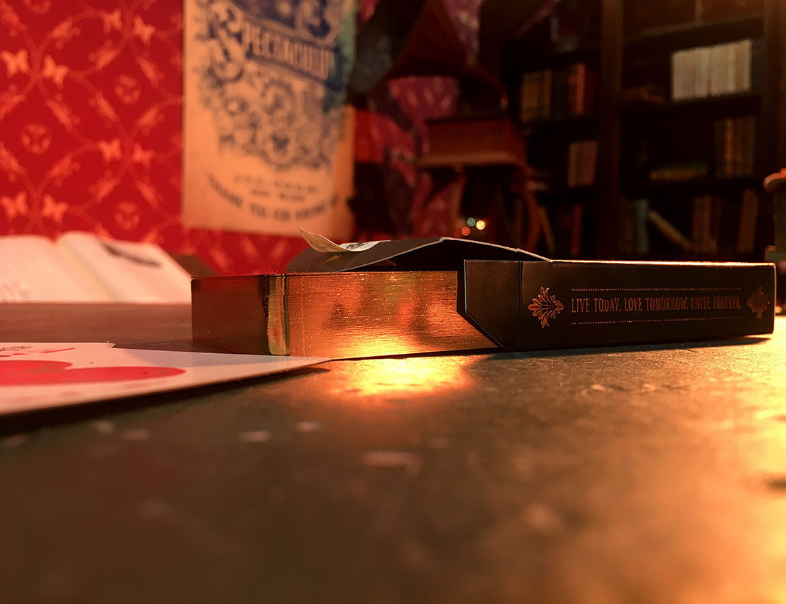 TOMORROWLAND CARD GAME - 6